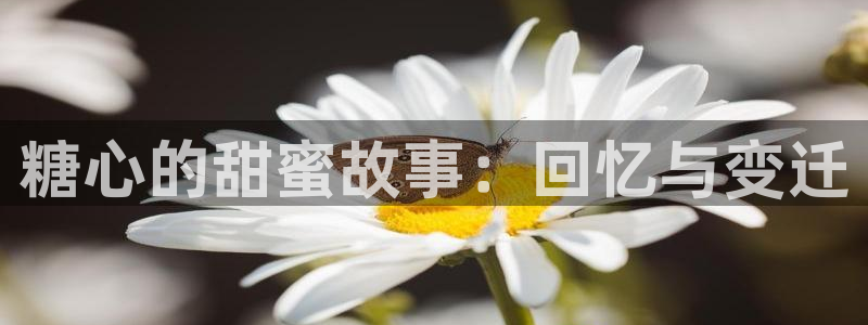 《糖心vlog》:糖心的甜蜜故事:回忆与