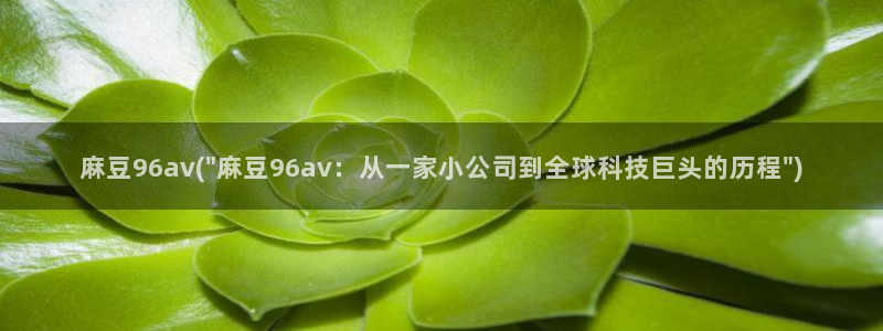 心糖vlog全部:麻豆96av(\