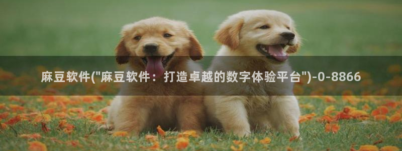 多己糖心在线vlog:麻豆软件(\