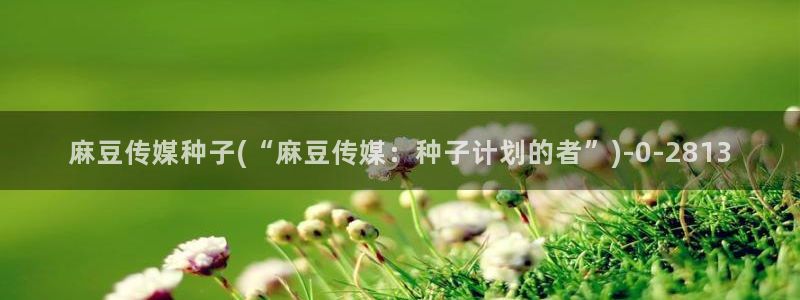 糖心vlog账号共享:麻豆传媒种子(“麻